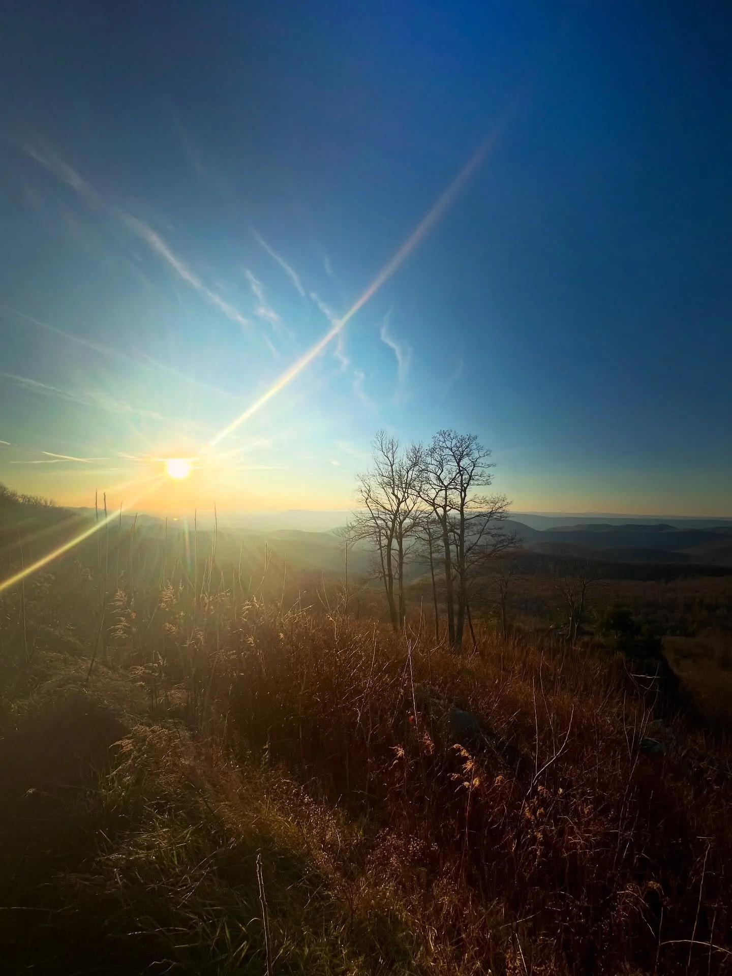 Farewell, sweet autumn. Thank you for the memories, growth, learning, unlearning, mega cleansing, and deep inner transformation. Until we meet again, love&hellip;🍃🧡🍁

#Nature #Gratitude #Oneness