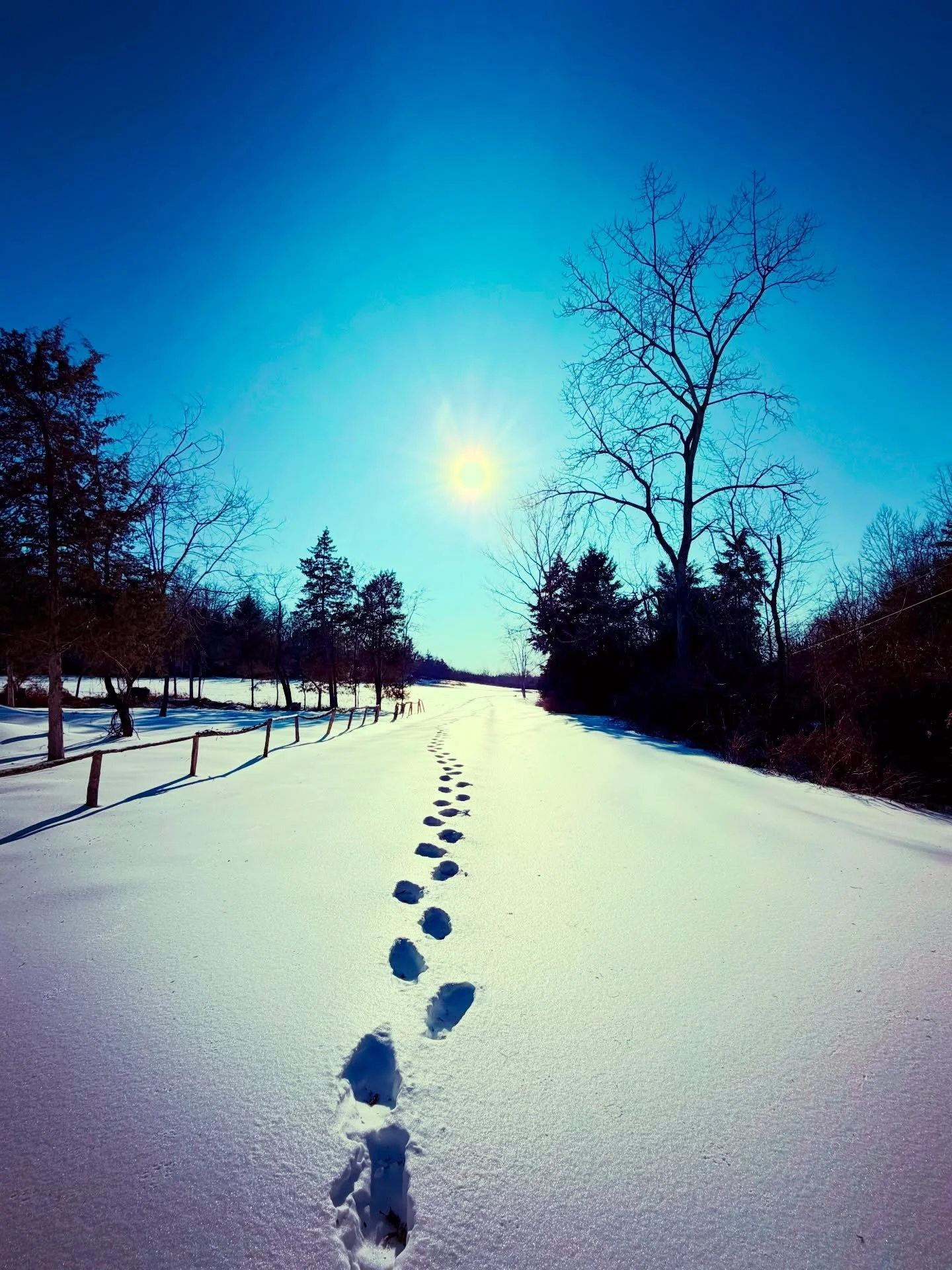 Winter beauty~ 🤍❄️🏔️