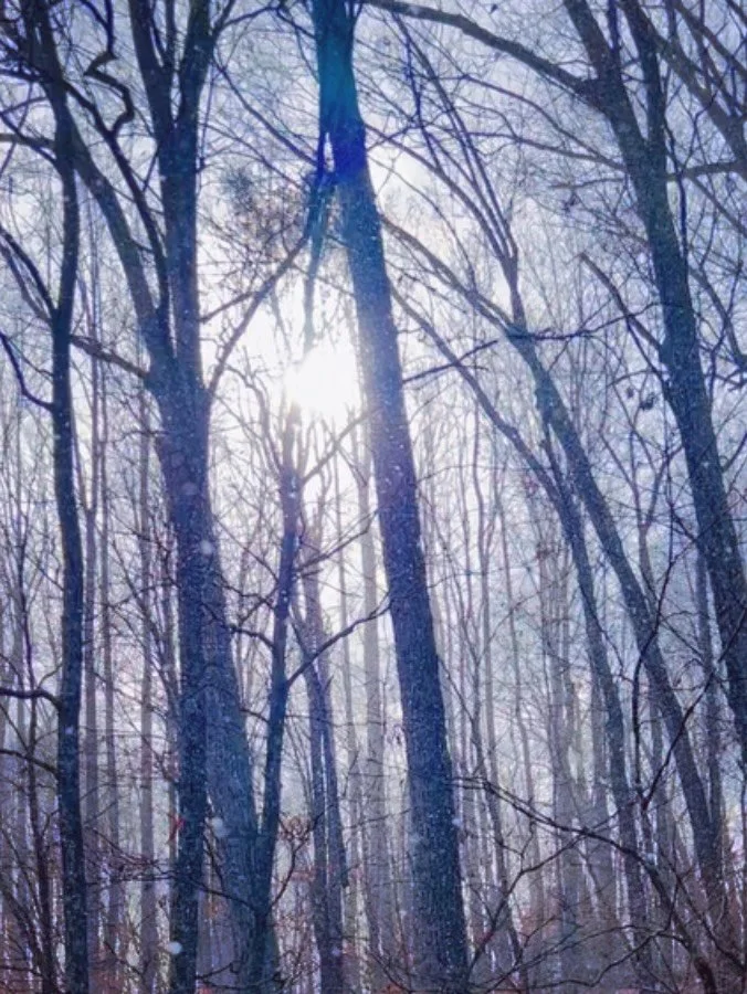 Moments of peace, love, and connection lately~ 

🥀❄️🤍❄️🥀