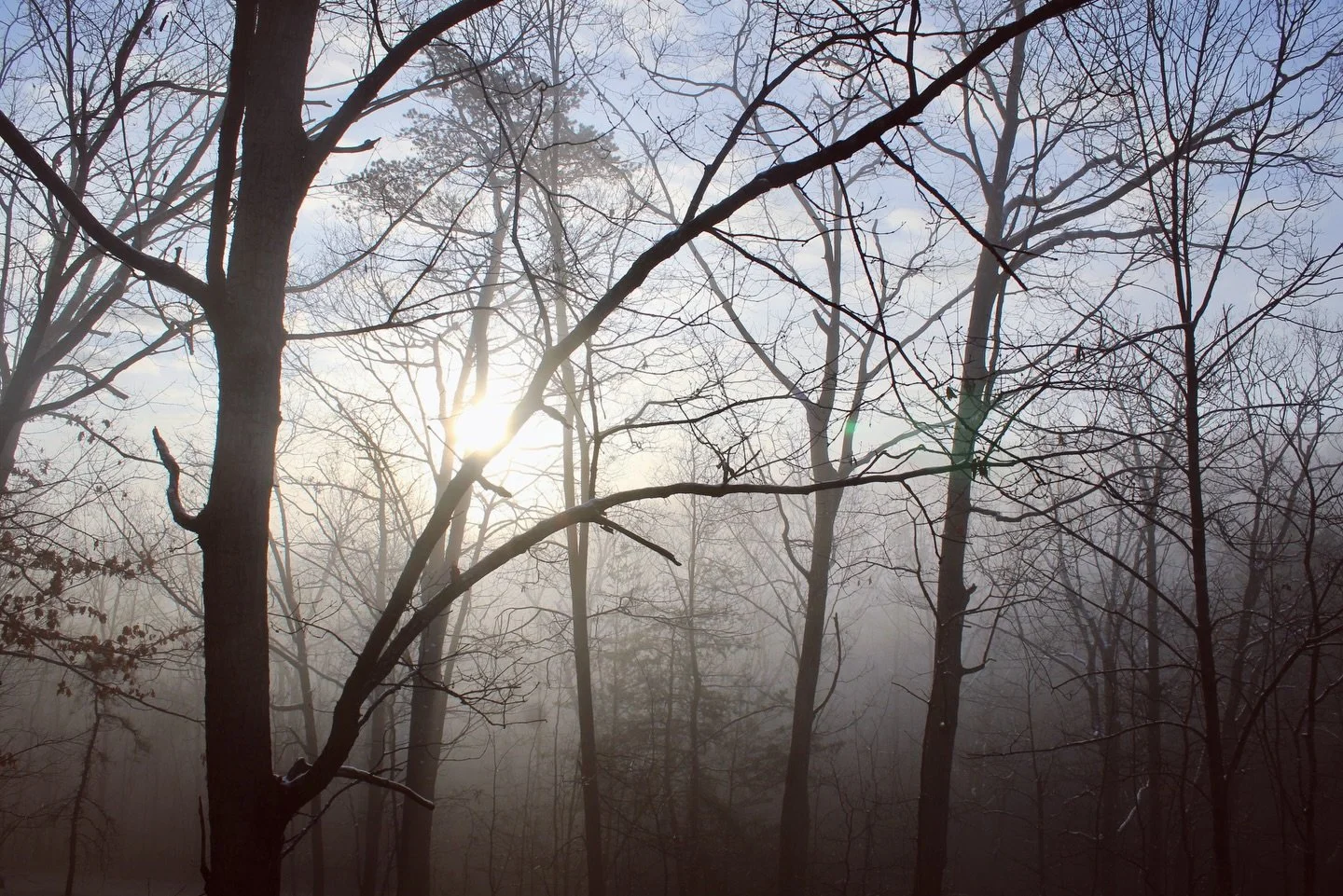 The importance of ethics in healthcare~ &ldquo;Research&rdquo; is a word often thrown around so loosely. Many times, there is absolutely no scientific basis for the claims cited.

As one of my beloved yoga teachers shared in 2011, &ldquo;people are e