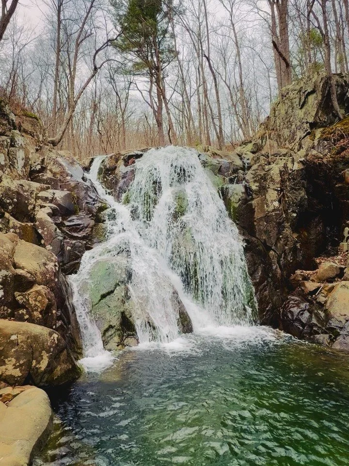 Gratefully soaking in the majestic splendor of Rose River Falls~ 💦⛰️🌿