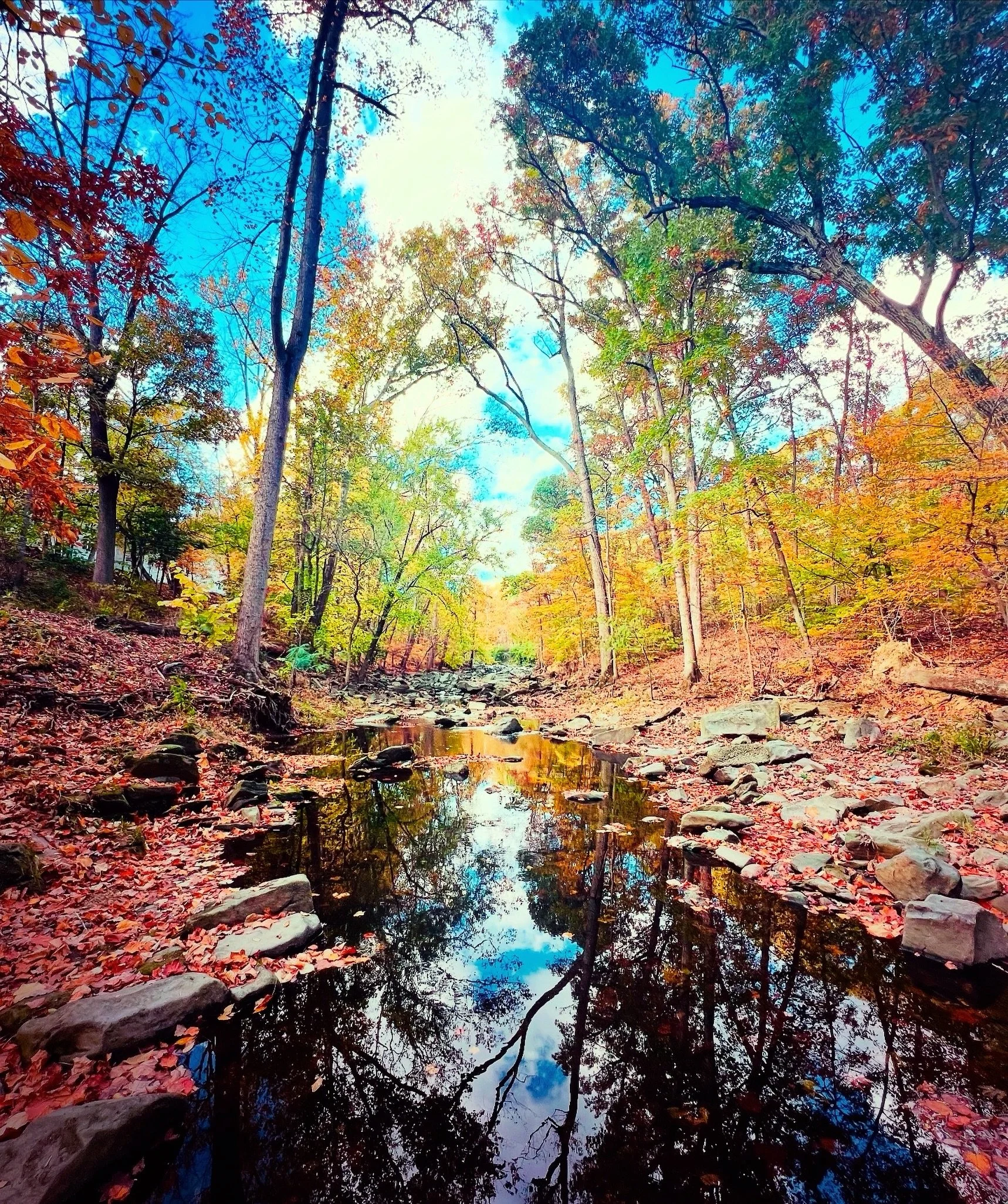 🍃🍁🧡 Happy first day of autumn! Wishing you and your families a healthy, magnificent season of abundance, change, and letting go. 🧡🍁🍃

#Equinox #SeasonalBalance #Nature #Autumn #Health