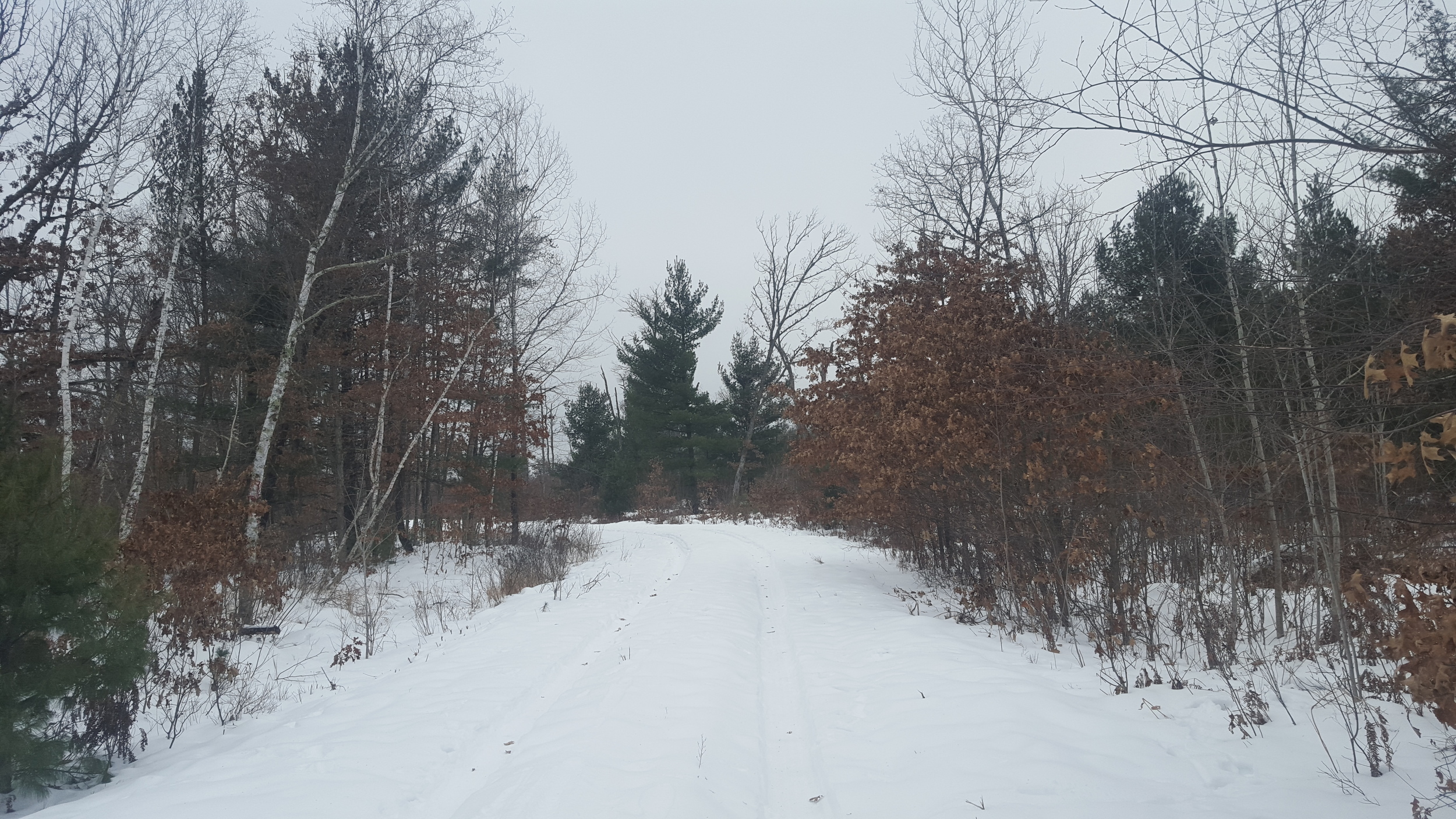 Snowy Trail (Copy)
