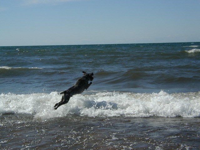 Tim Hauser's Kessler (GWP) jumping into the Lake Superior surf