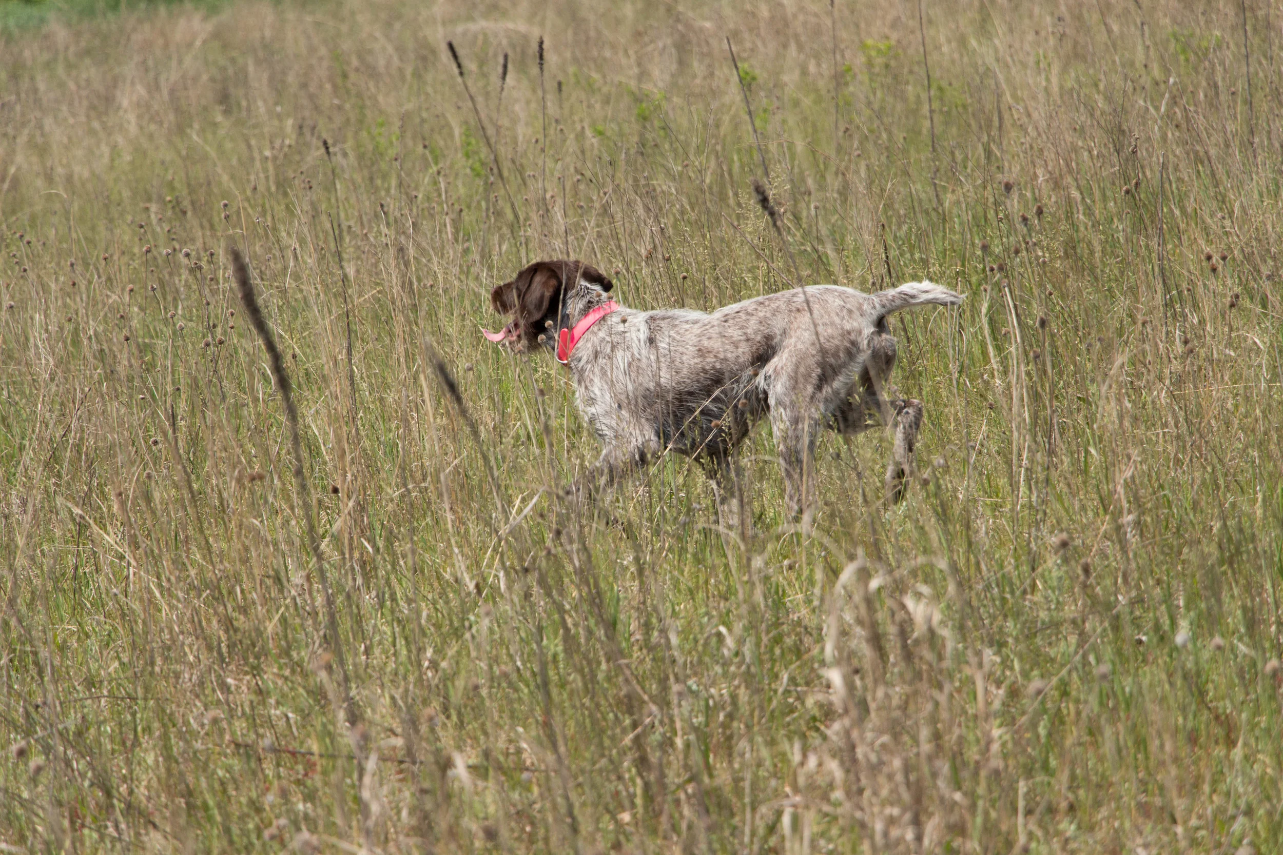 IMG_9629.jpg