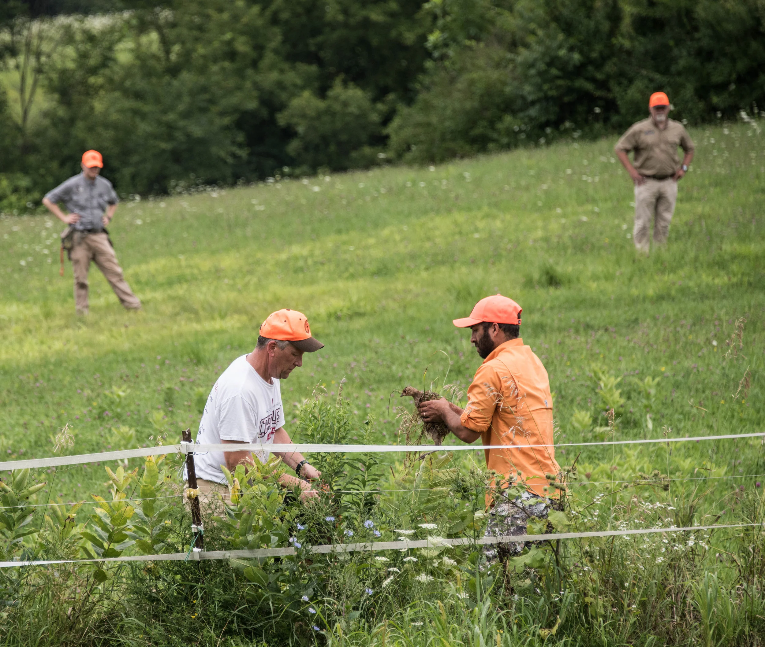 DSC_9187.jpg