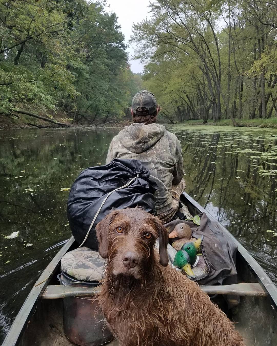 We had a fun morning duck hunting.&nbsp;Choco had some great retrieves and enjoyed watching the skies with us for more incoming ducks. When it was time to quit, you could see the disappointment in her expression. (Pictured here are Choco and Jacob.)