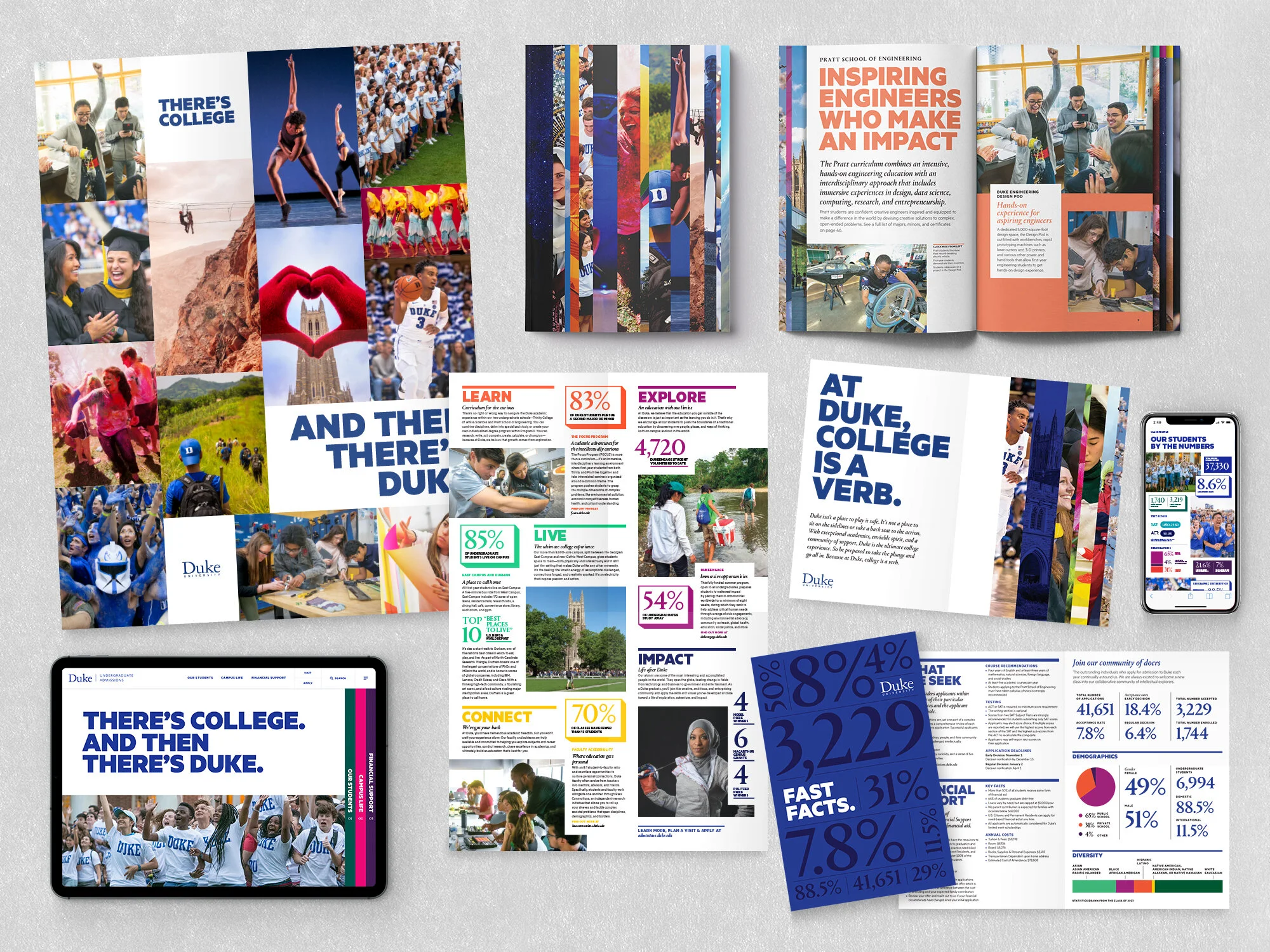 Duke_Lanscape_allDeliverables.jpg
