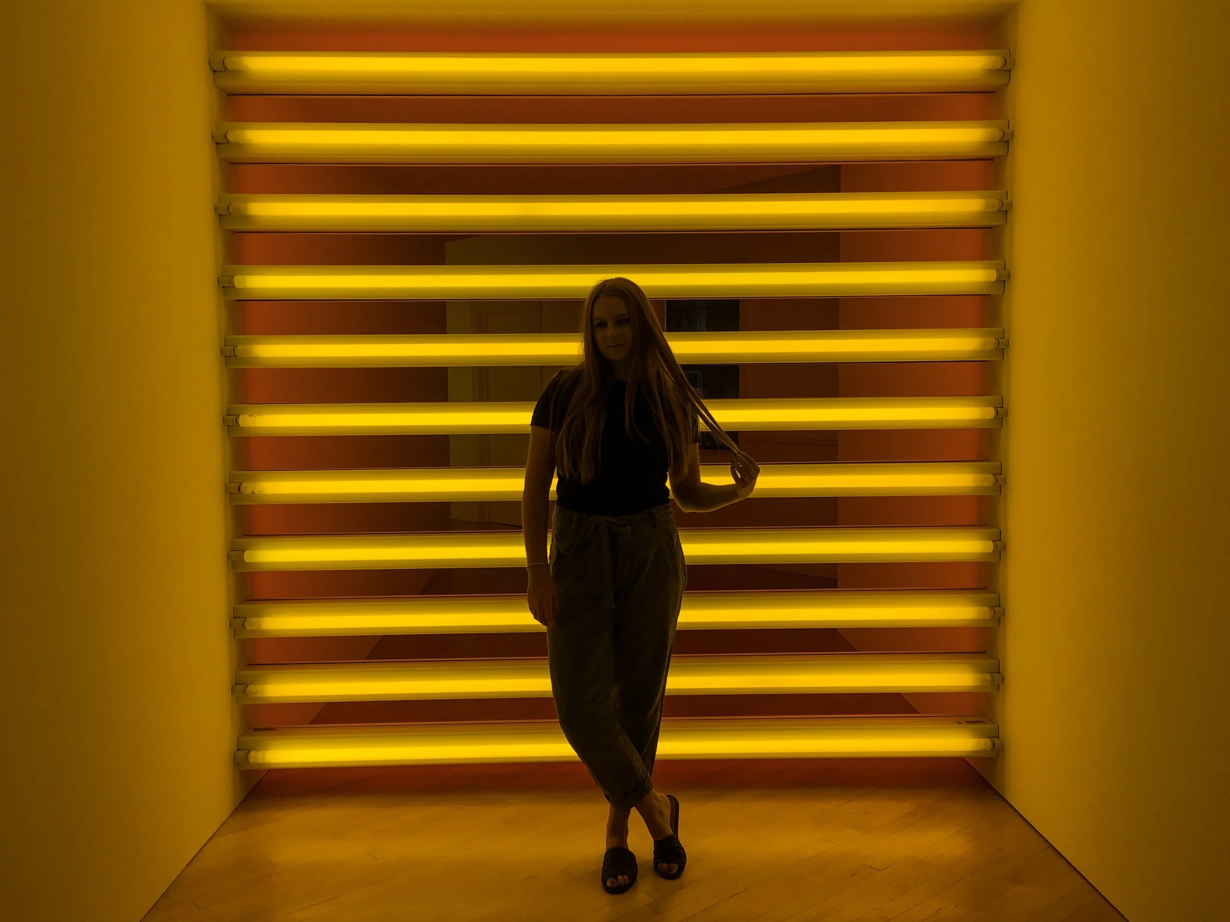 haggerty-dan-flavin-2.JPG