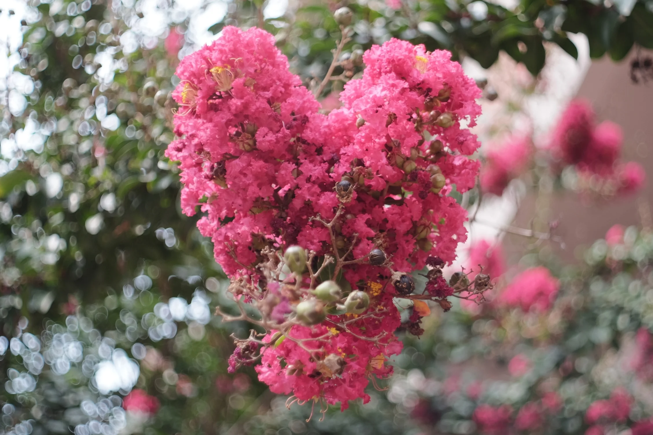 2015-09-02 12.46.49.jpg