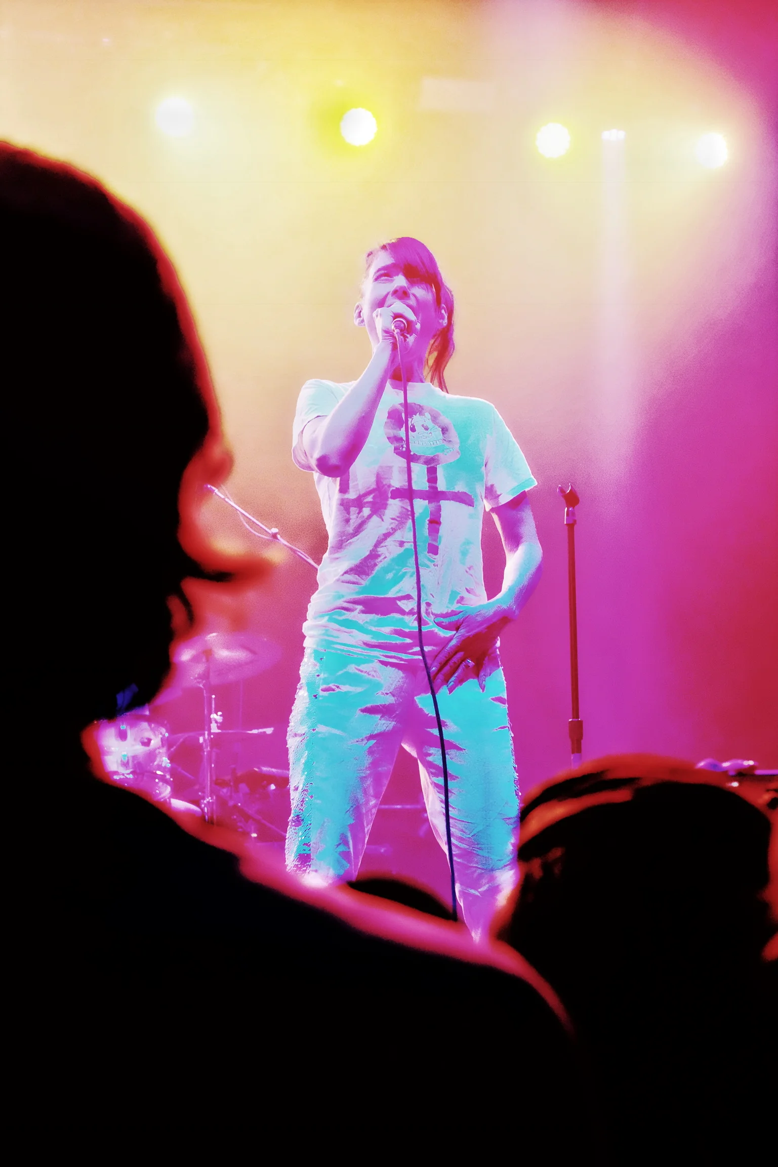 The Julie Ruin / Kathleen Hanna