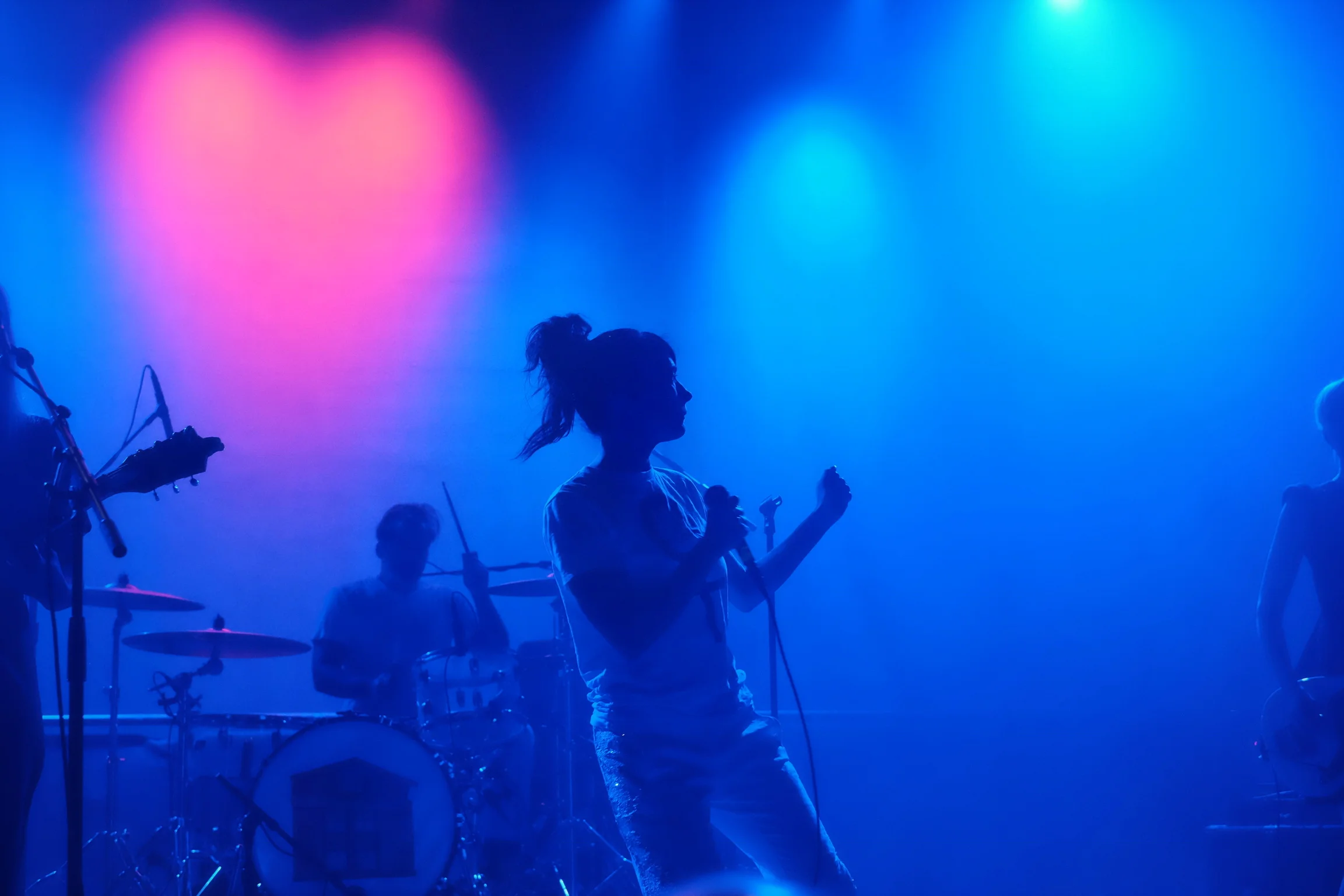 The Julie Ruin / Kathleen Hanna