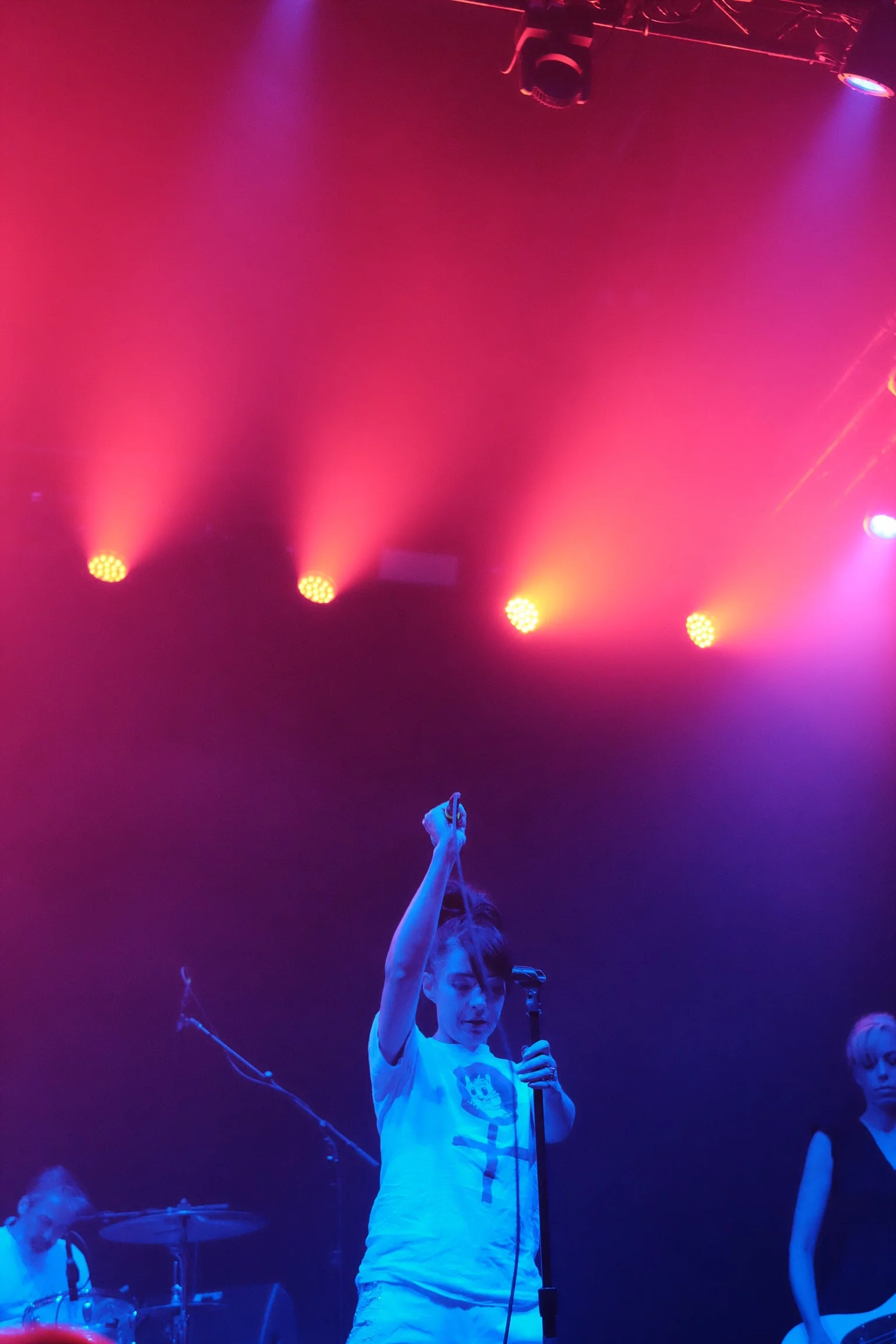 The Julie Ruin / Kathleen Hanna