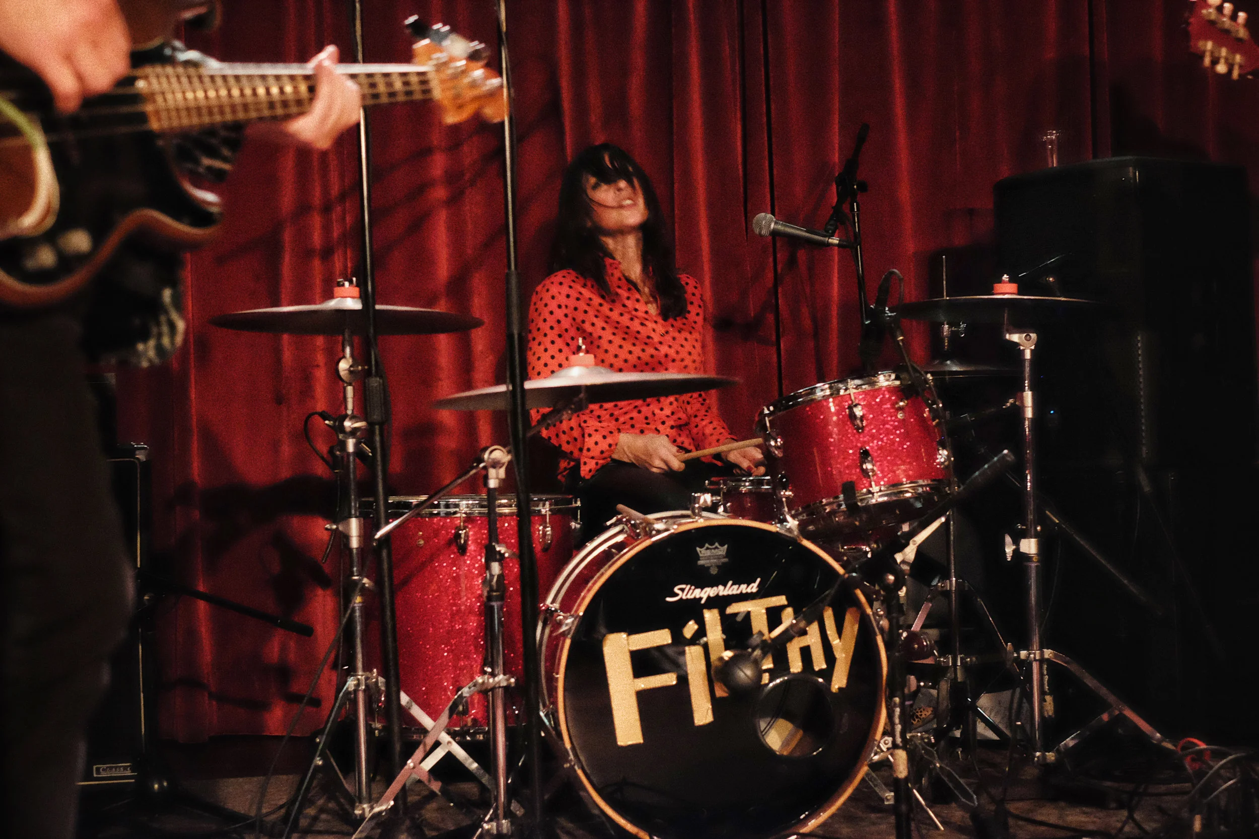 Filthy Friends / Linda Pitmon