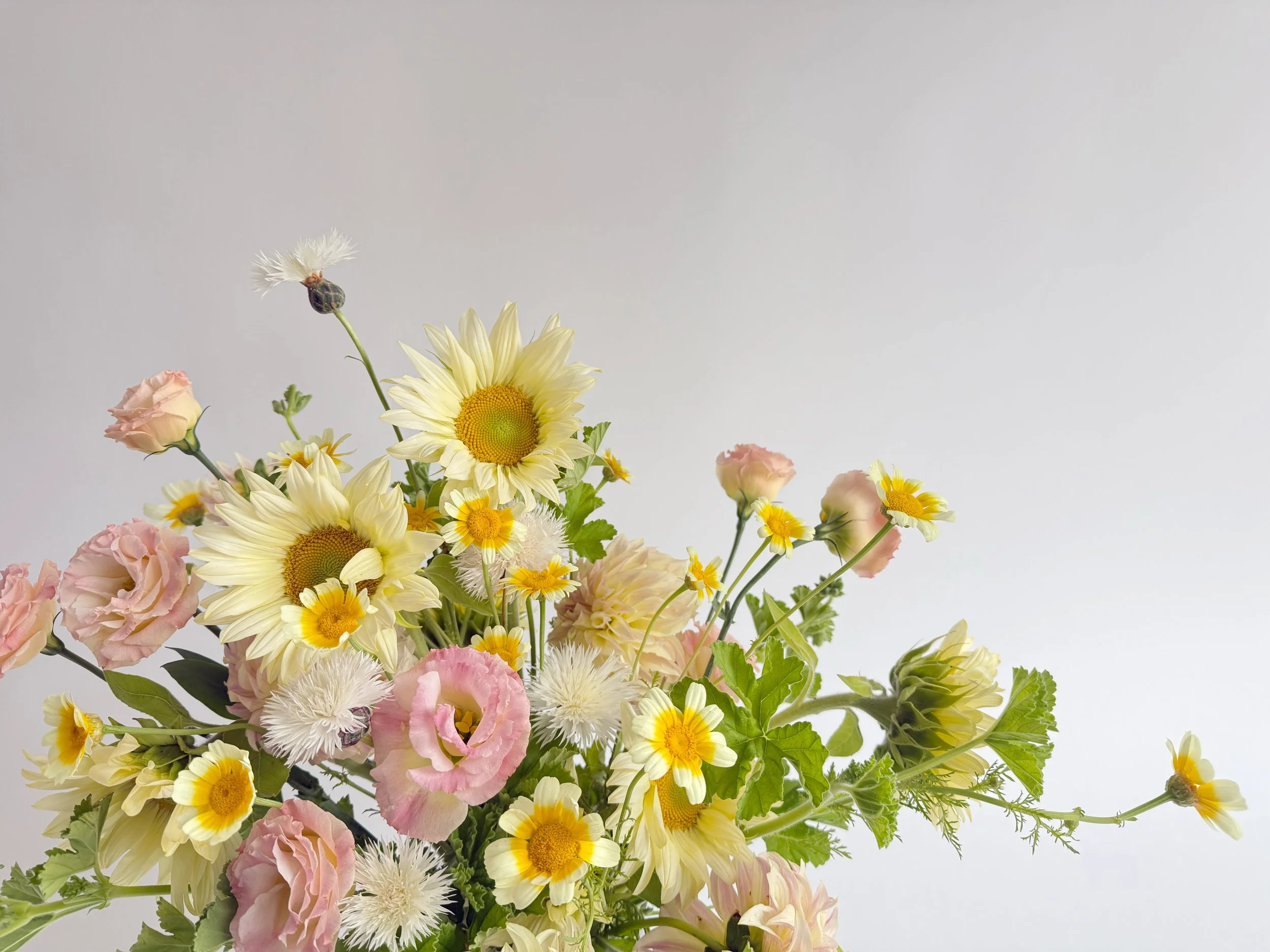 portland flower delivery hilary horvath flowers.jpg