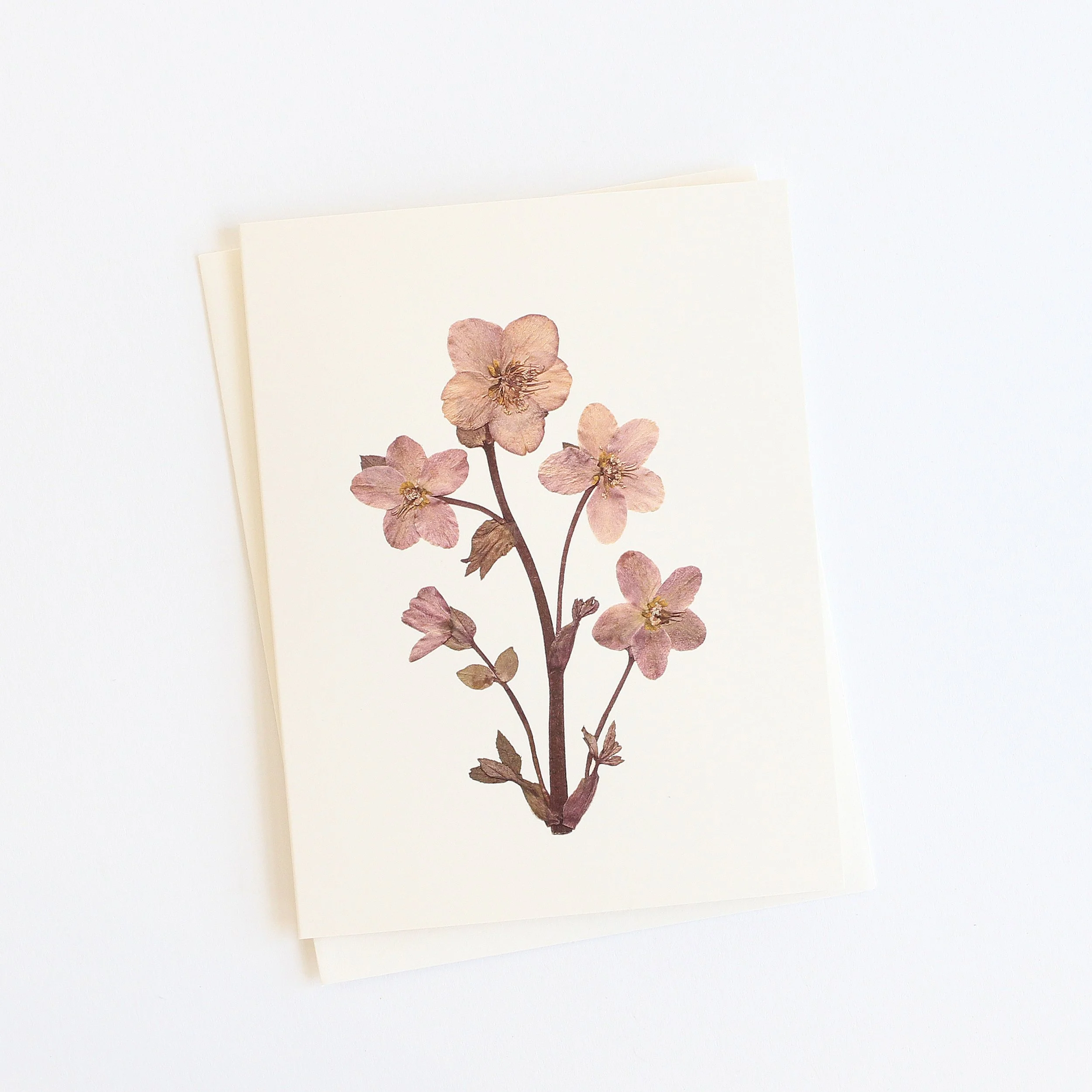 Flower Hill Press * Pressed Flower Card