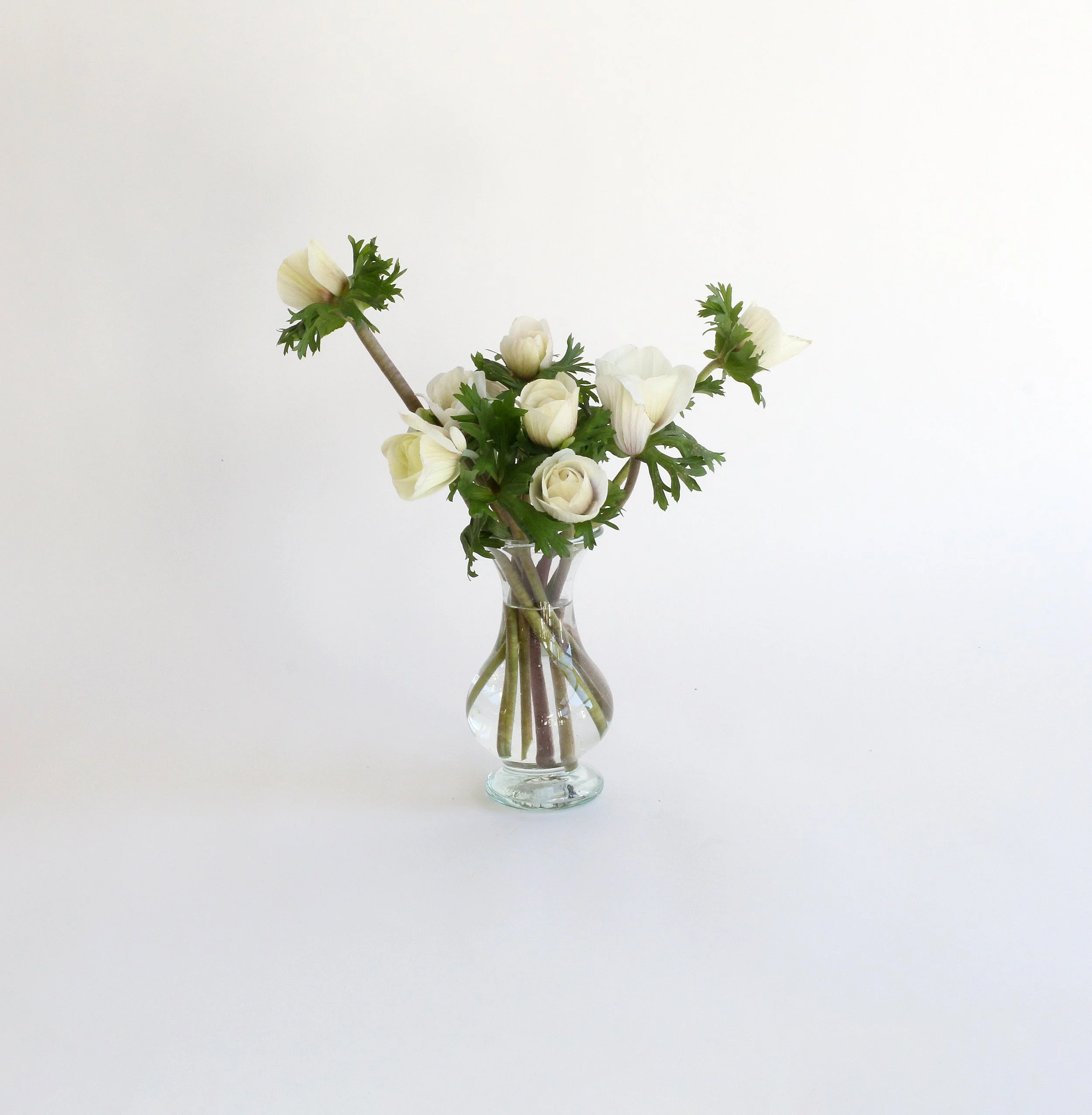 La Soufflerie * Silhouette