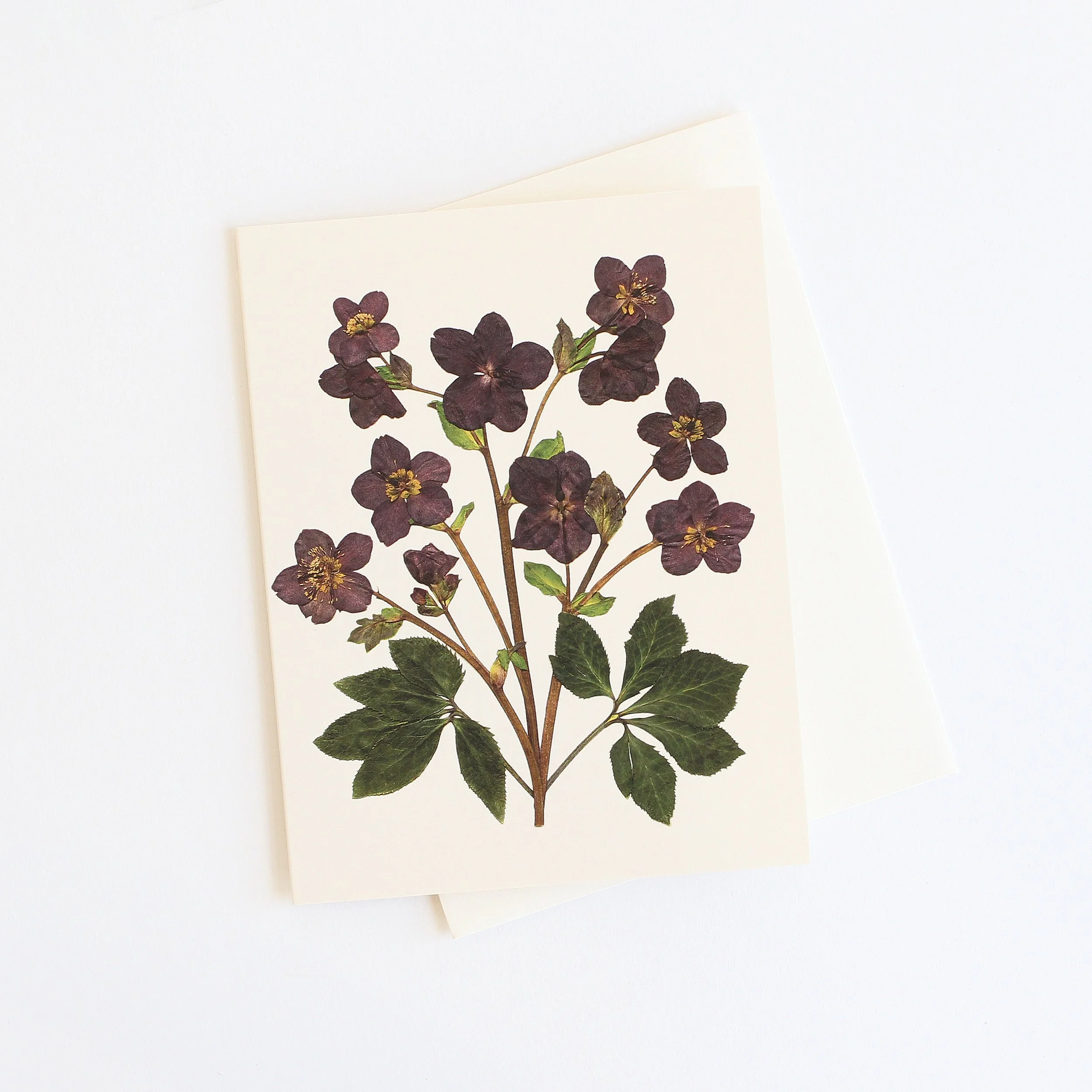 Flower Hill Press * Pressed Flower Card