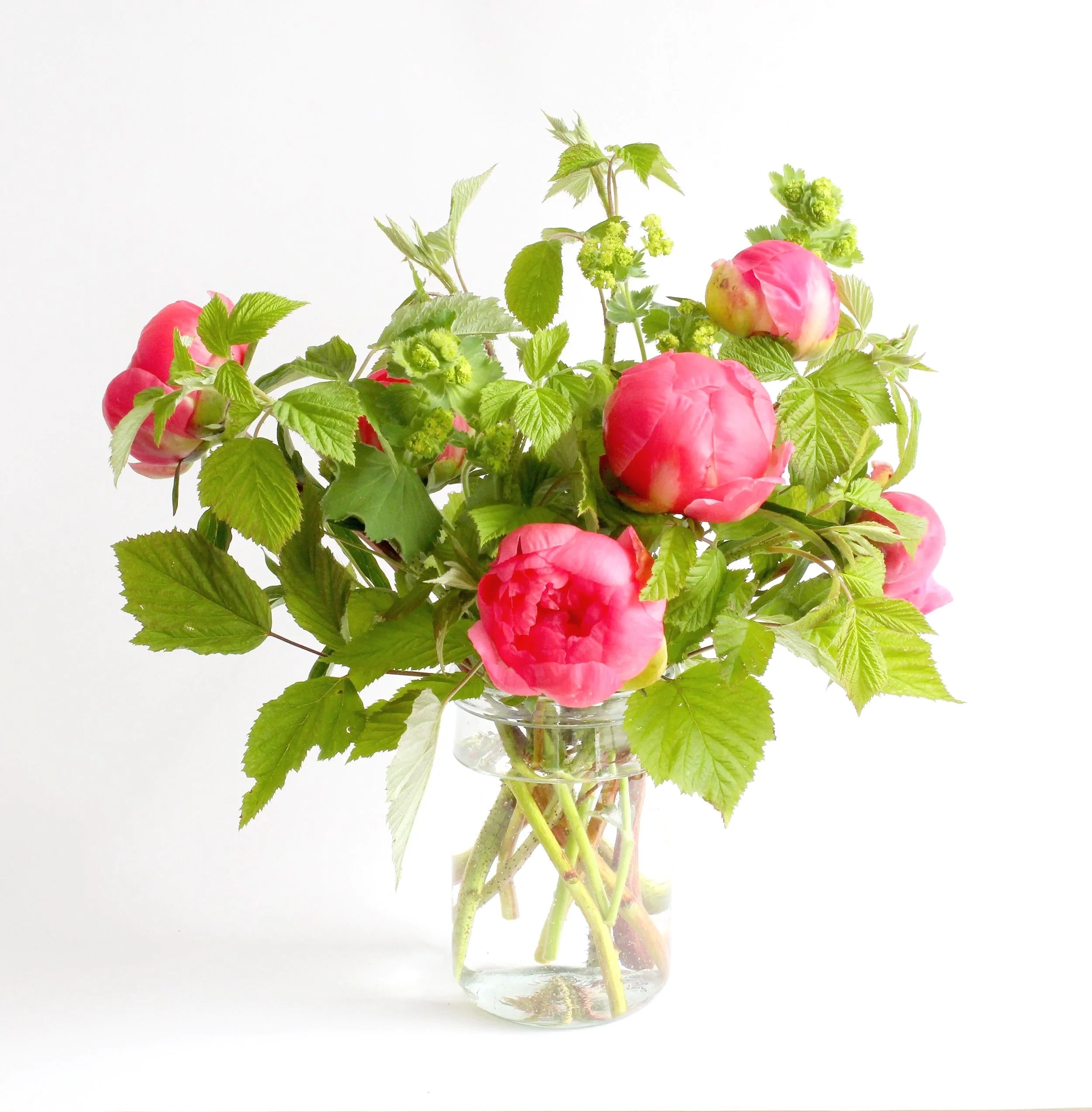 La Soufflerie * Peonies