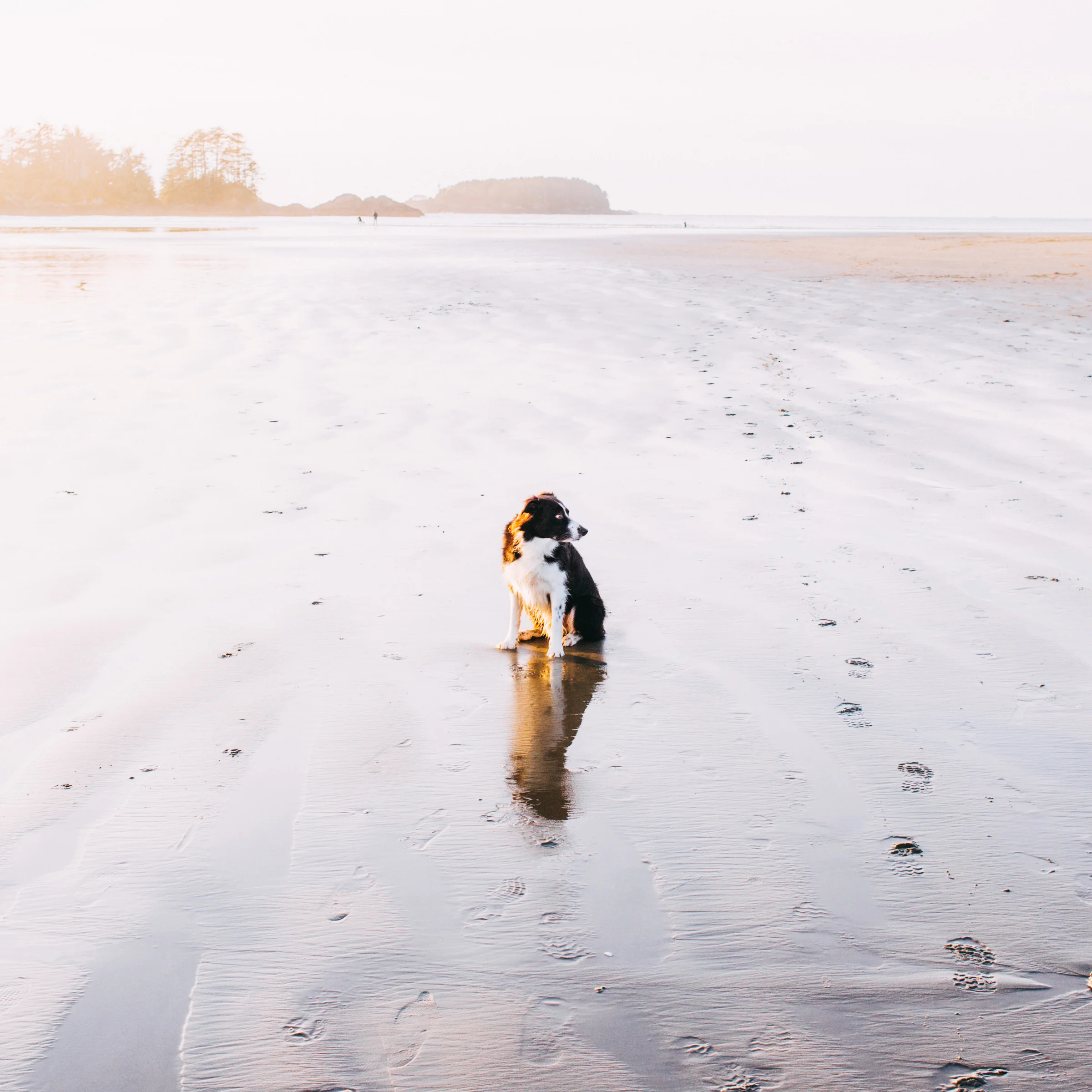 g5x-tofino-1.jpg