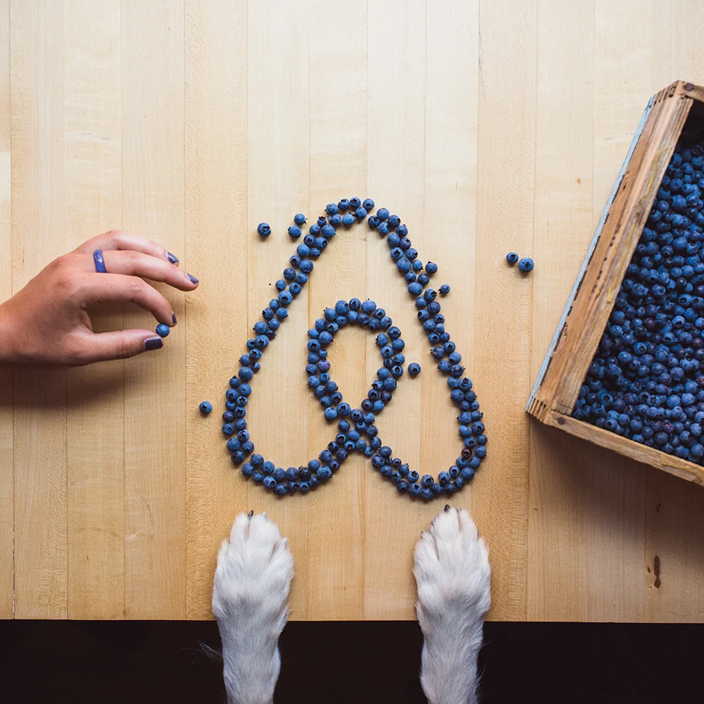 airbnb-1-belo.jpg