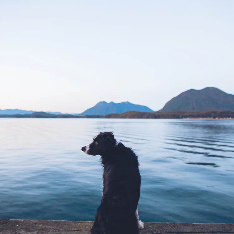 Instagram — photo gallery by Andrew Knapp