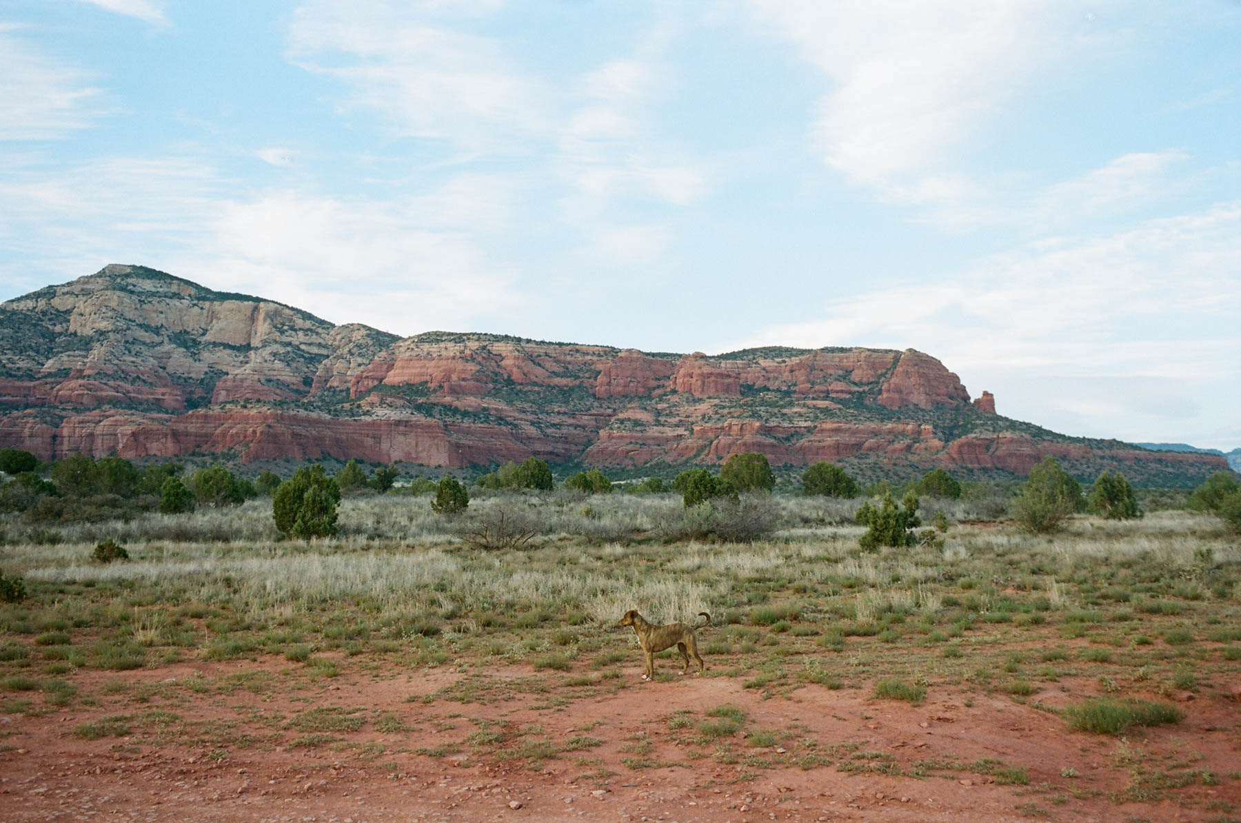 08200026.jpg