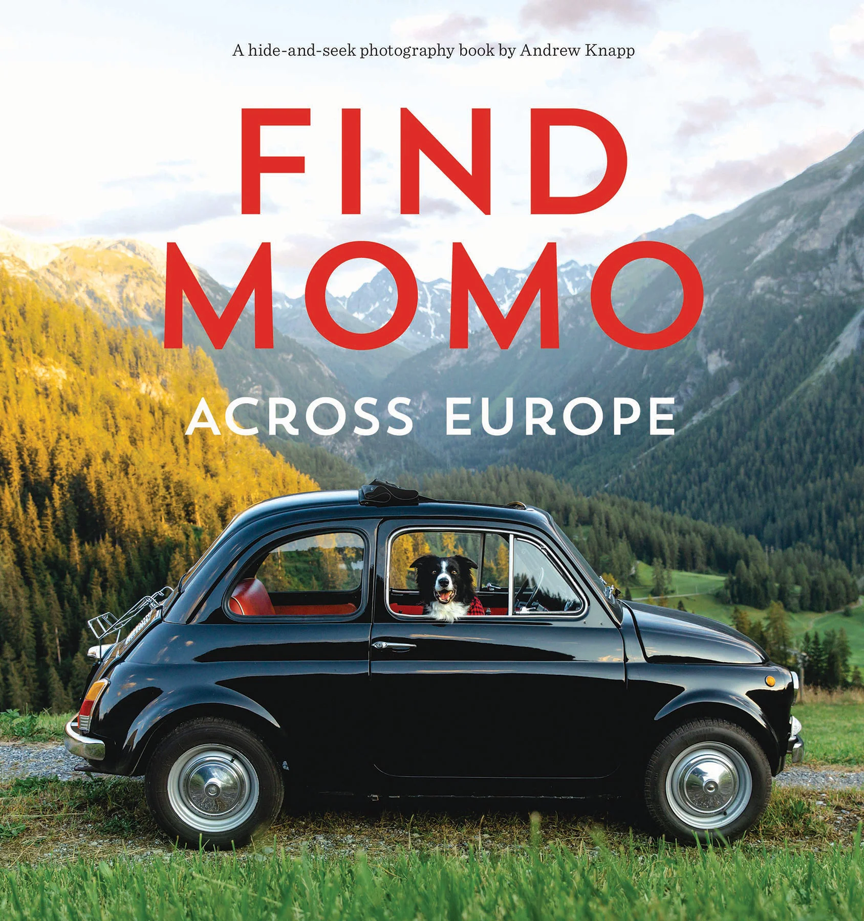 MomoEuro_final_300dpi.jpg