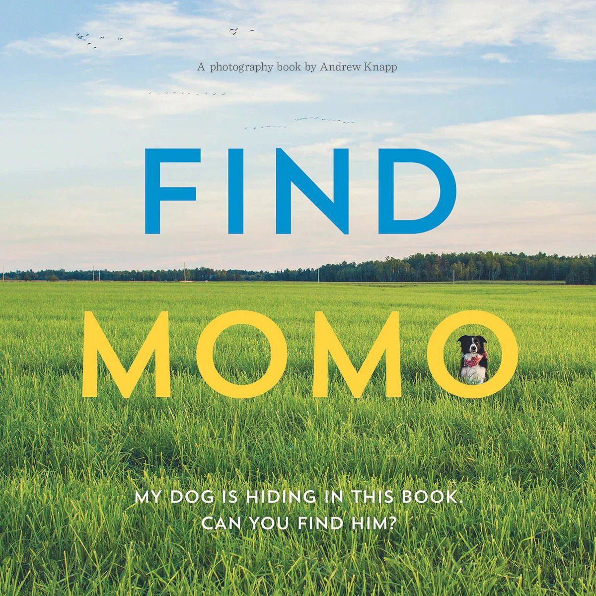 Find Momo Cover.jpg