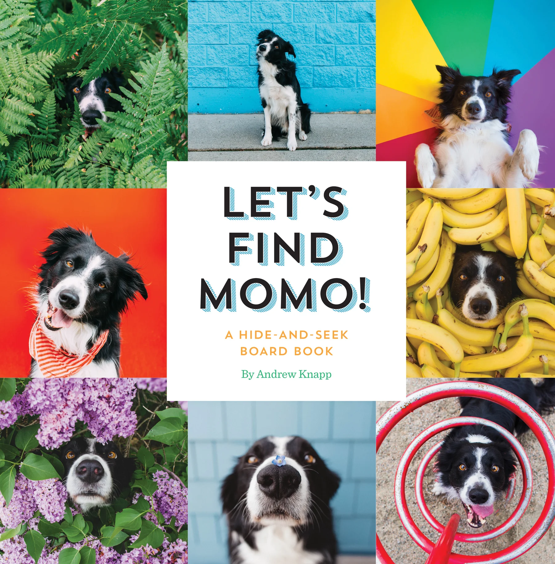 Let's-Find-Momo.jpg