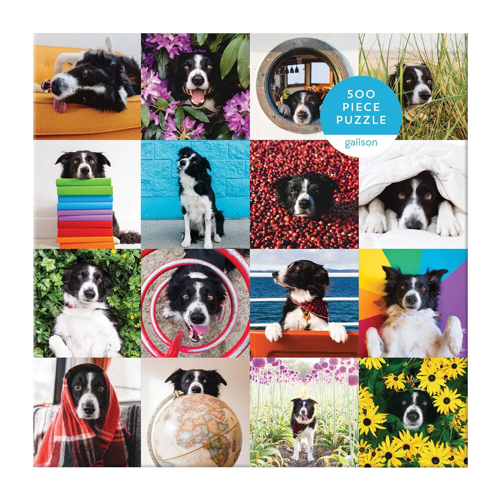 Momo the Dog 500 Piece Puzzle by Galison — Andrew Knapp