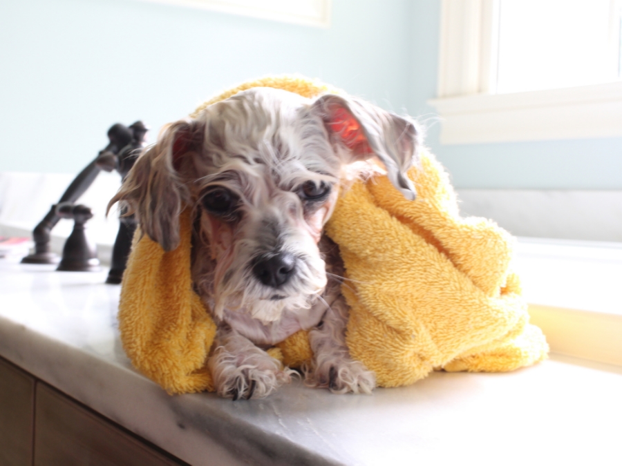 I fail to stay as cute during a bath. I don't want to talk about it.