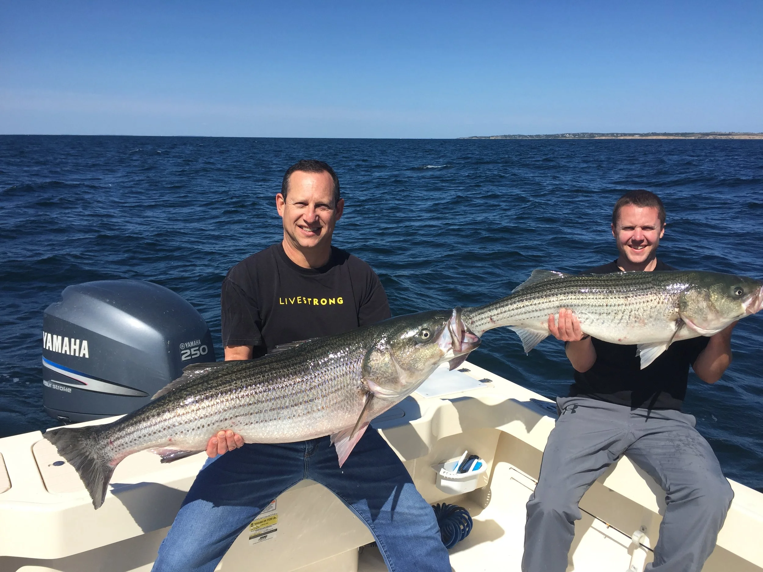 Striper 20.JPG