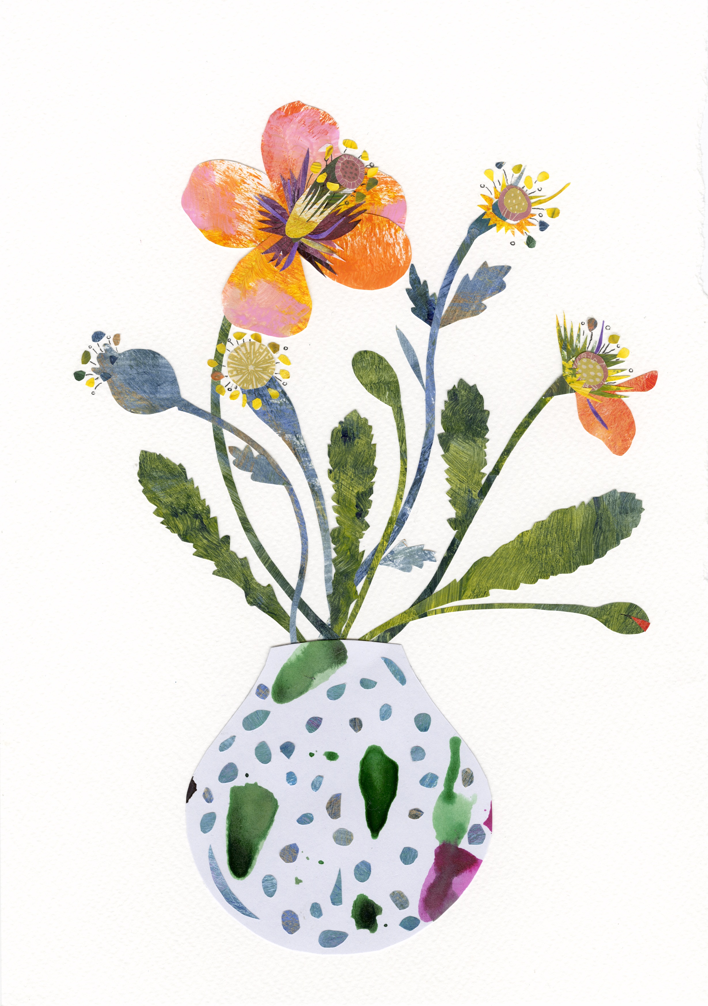 Poppy in Vase