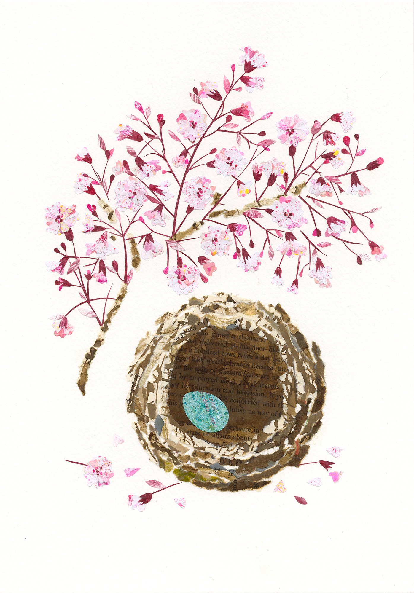 Pink-Blossom-+-Bird-nest.jpg