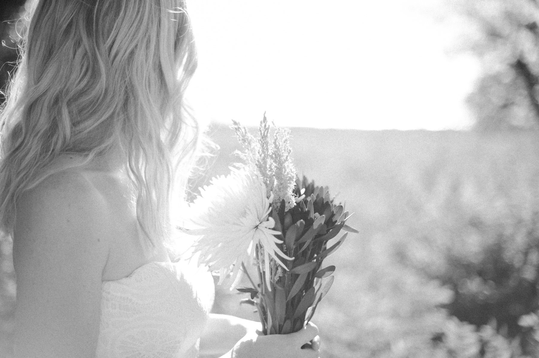 Lindsey Portfolio 8.jpg