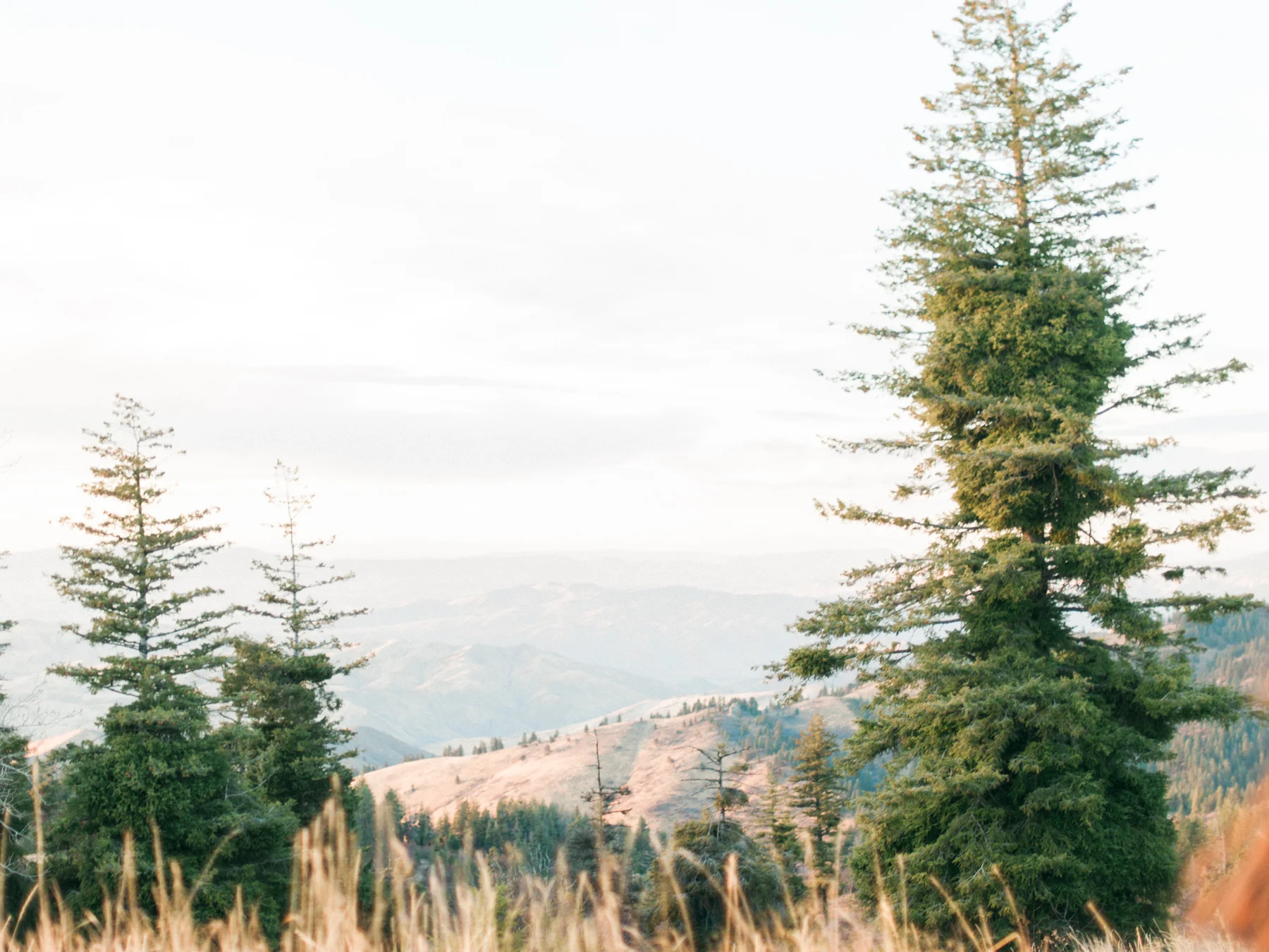 Ben+Joella | Bogus Basin02.jpg