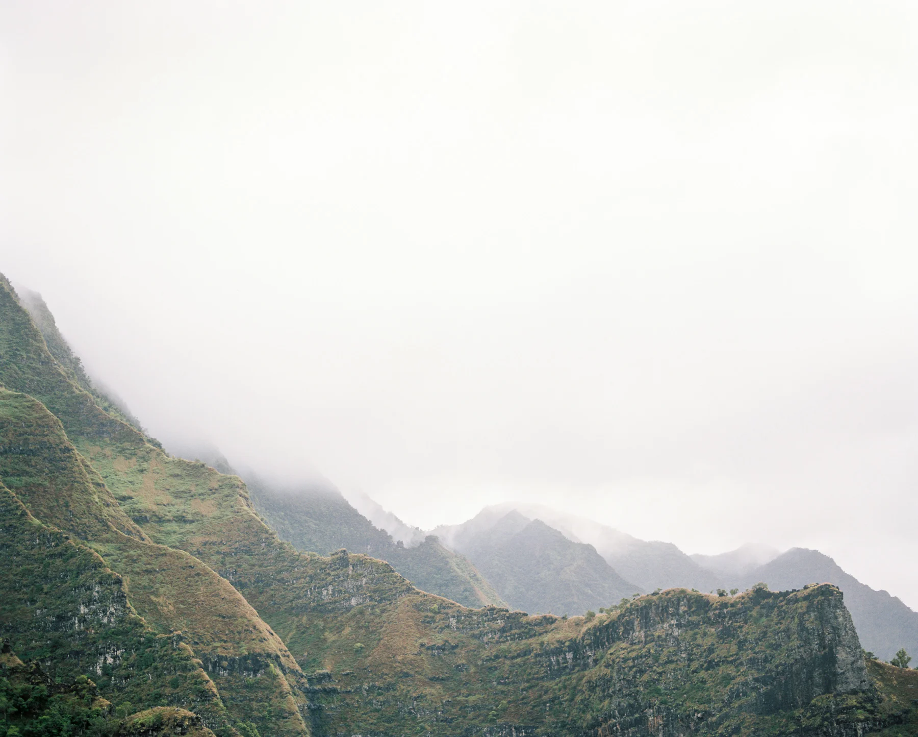 Ben+Joella | Kauai on Film 03.jpg