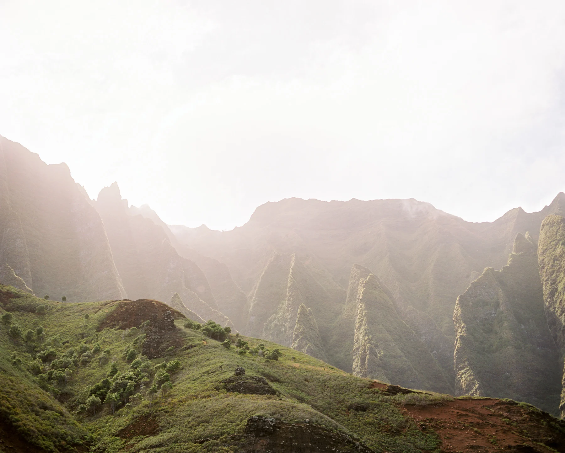 Ben+Joella | Kauai on Film 16.jpg