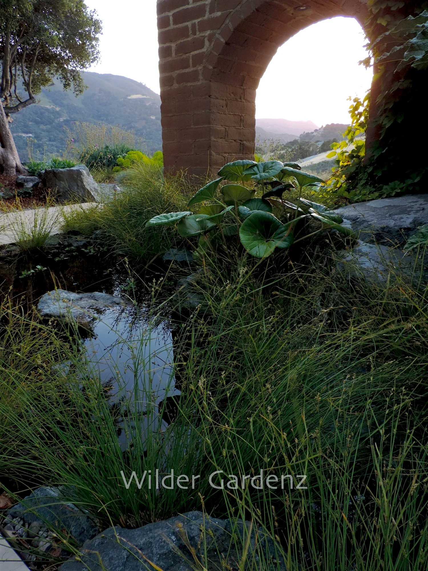 Stream and Arches 2.jpg