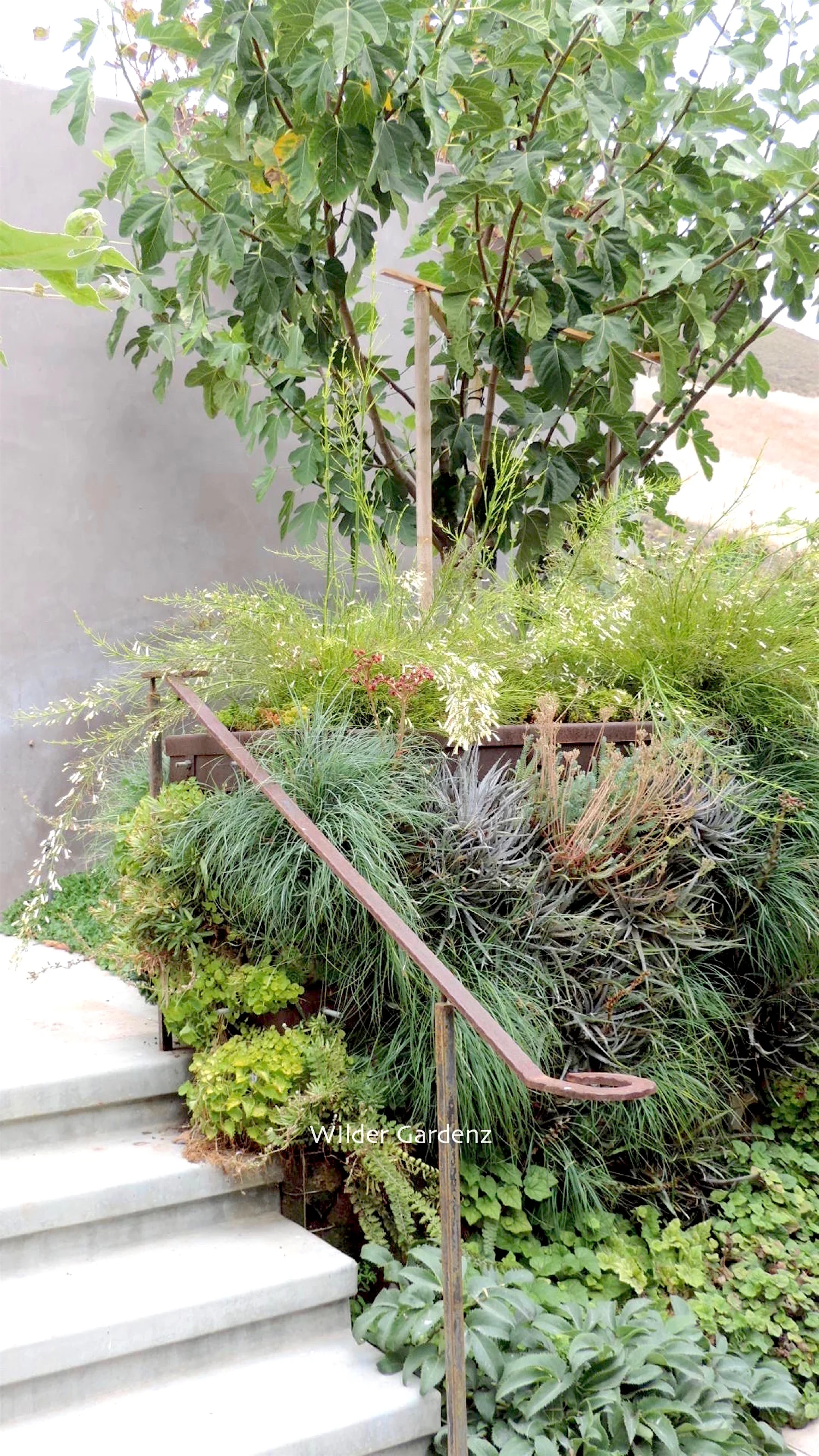 DSCN3248.jpg