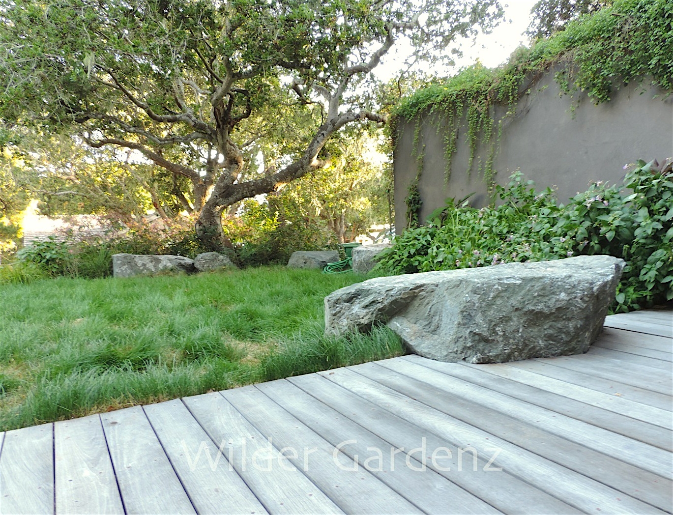 Patio and Greenroof.jpg