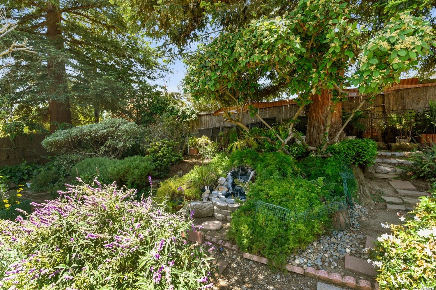 Backyard 3.jpg