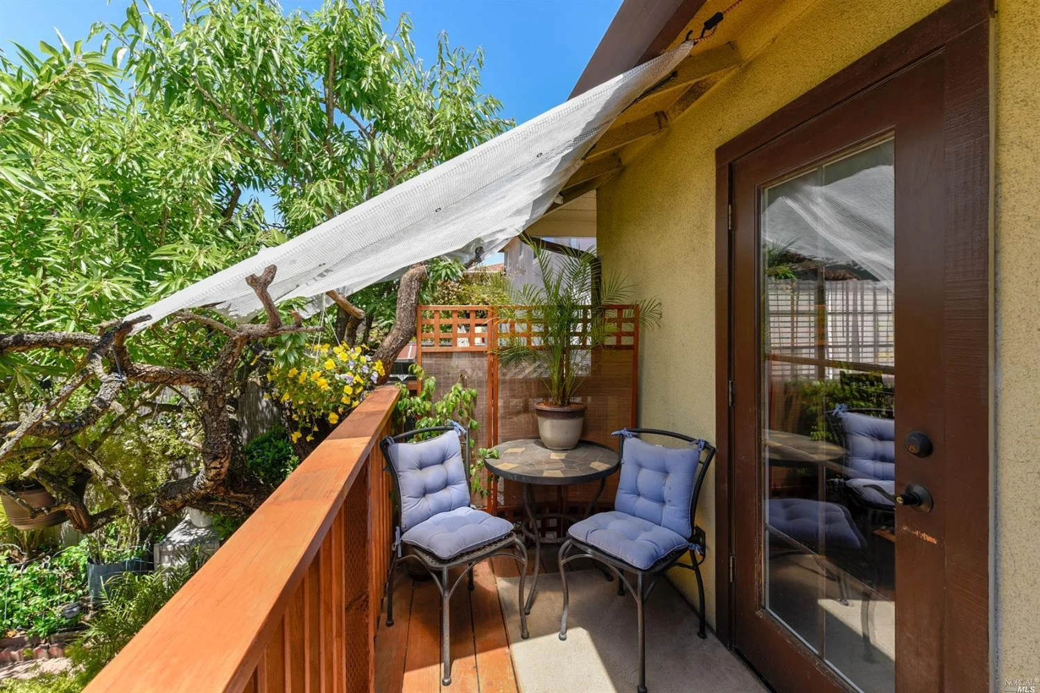 Patio 1.jpg