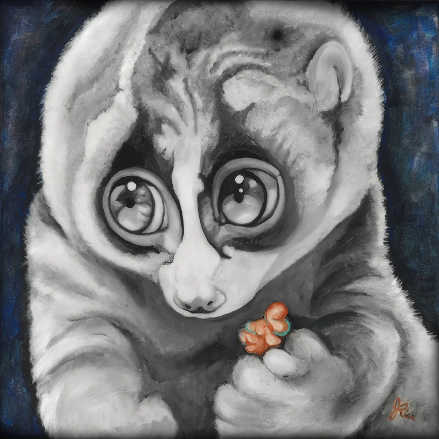 72Slowloris.jpg