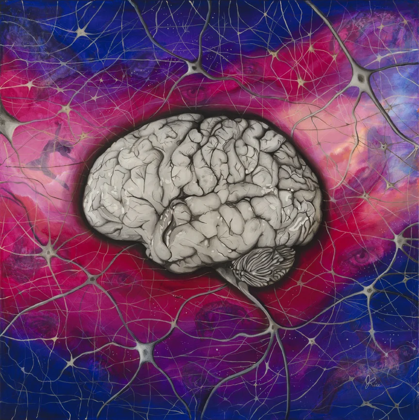 72brain.jpg