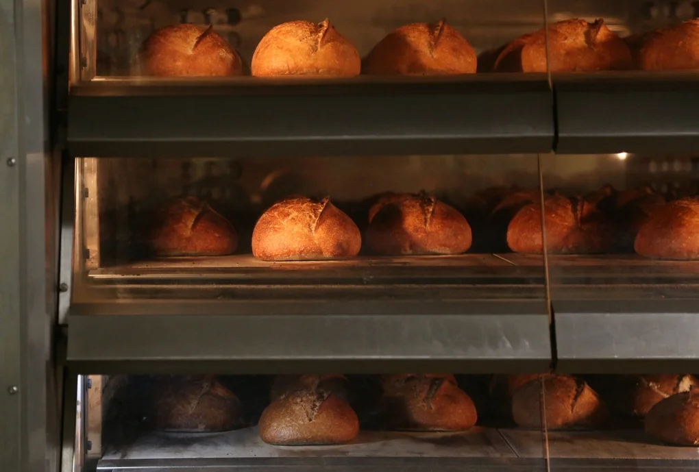 Hannah Rossman - oven.JPG