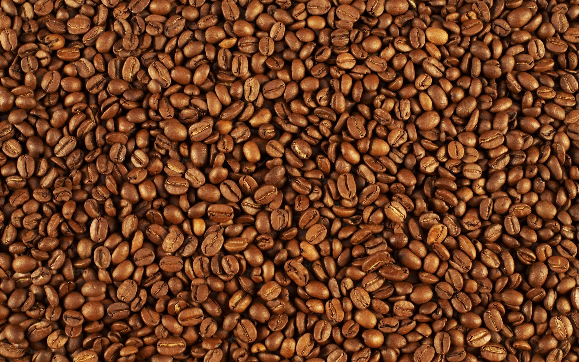FreeGreatPicture.com-15786-coffee-and-coffee-beans-close-up.jpg