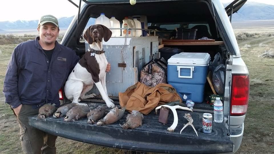 Just wanted to touch base and let you know how wonderfully happy I have been with Sage, the female I got from you DEC 13'. She picked up hunting so naturally and we got into a lot of birds both by her self and other dogs. She minds so well and hunts full throttle but I can still have her calmly lay on her bed all day behind me at the office. Couldn't be happier! Marc Van Camp, CA