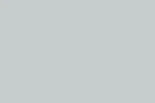 glacier_gray_grey_trend_color_background_poster-re93681acb0b9467a9e082a6cd19d9e36_w2u_8byvr_307.jpg
